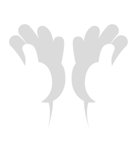 aimerce get in touch